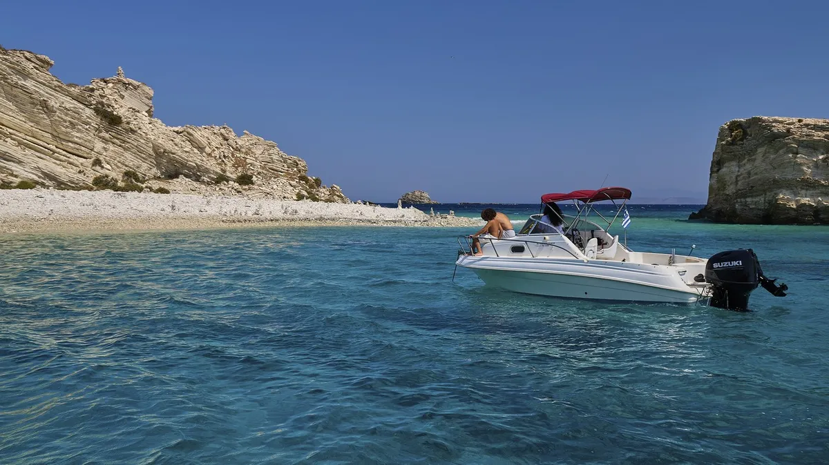 Slika članka