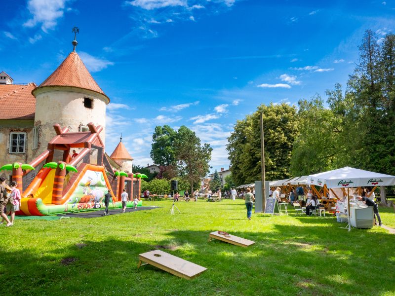 Slika članka