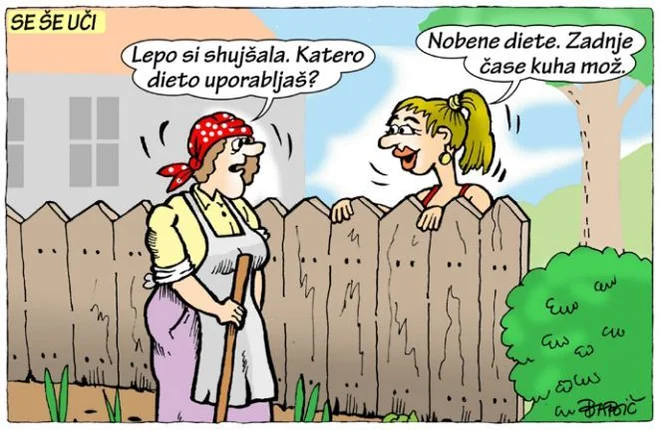 Slika članka