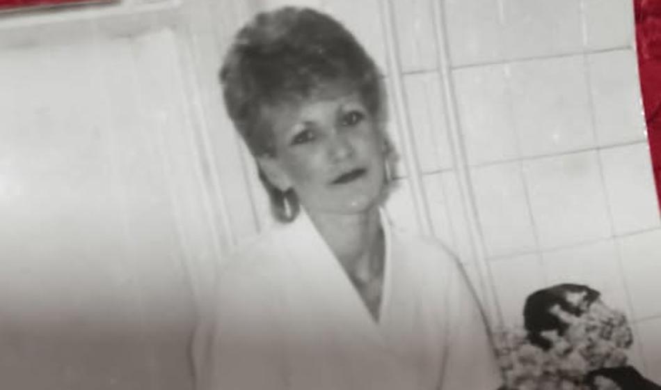 Slika članka