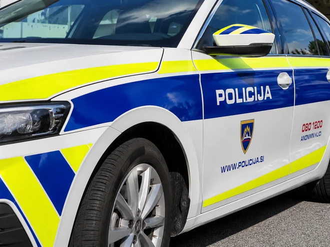 Slika članka