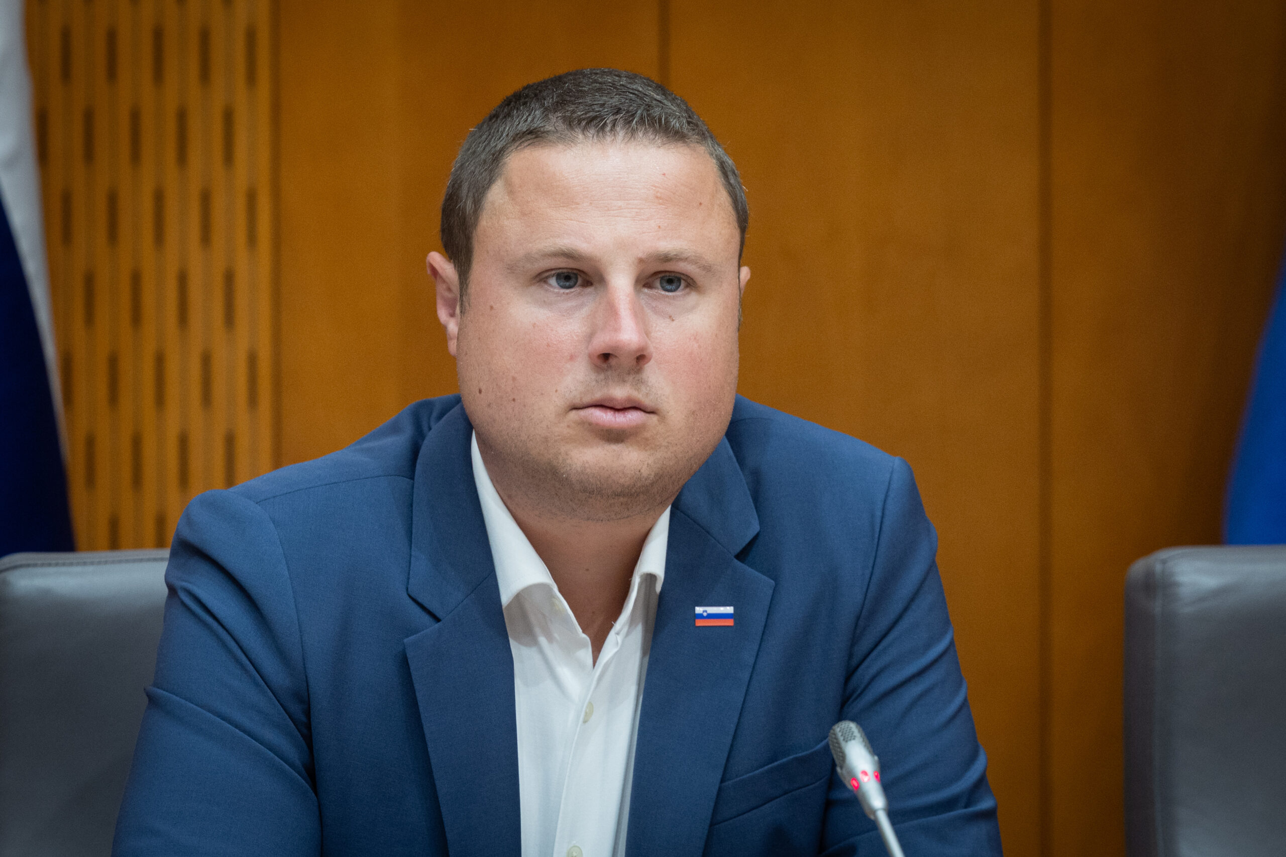 Slika članka