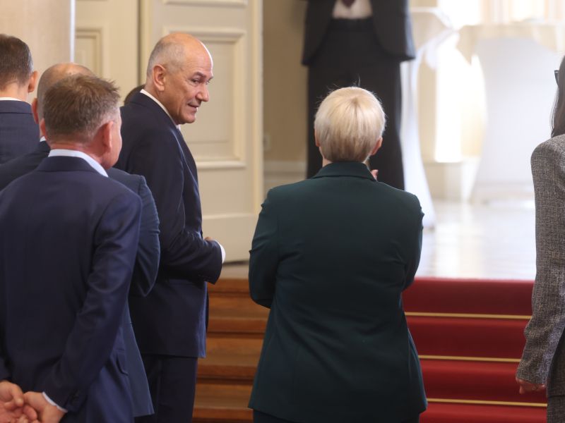 Slika članka
