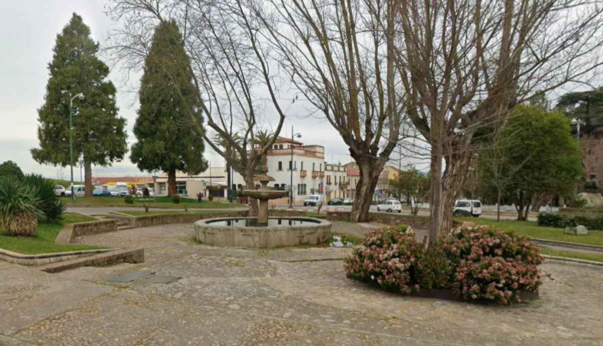 Slika članka