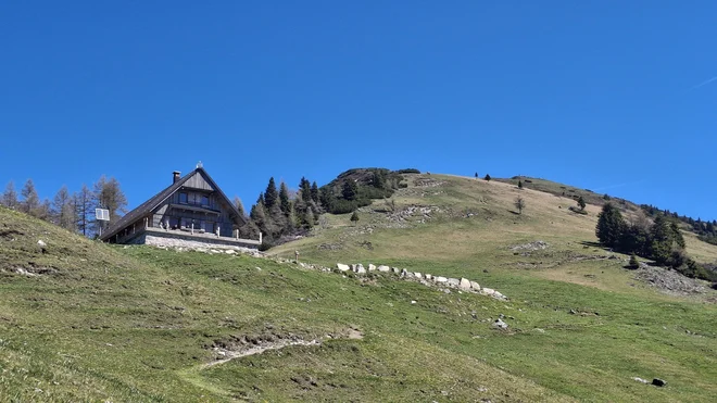 Slika članka