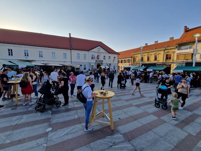 Slika članka