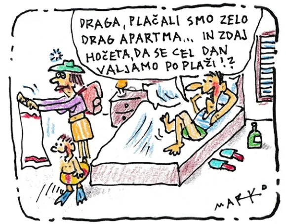 Slika članka