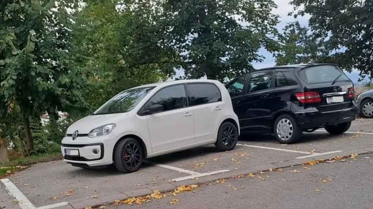 Slika članka