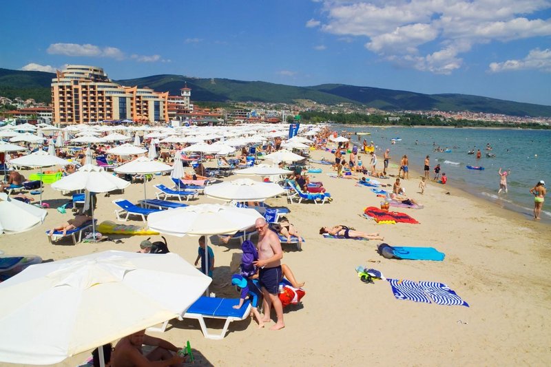 Slika članka