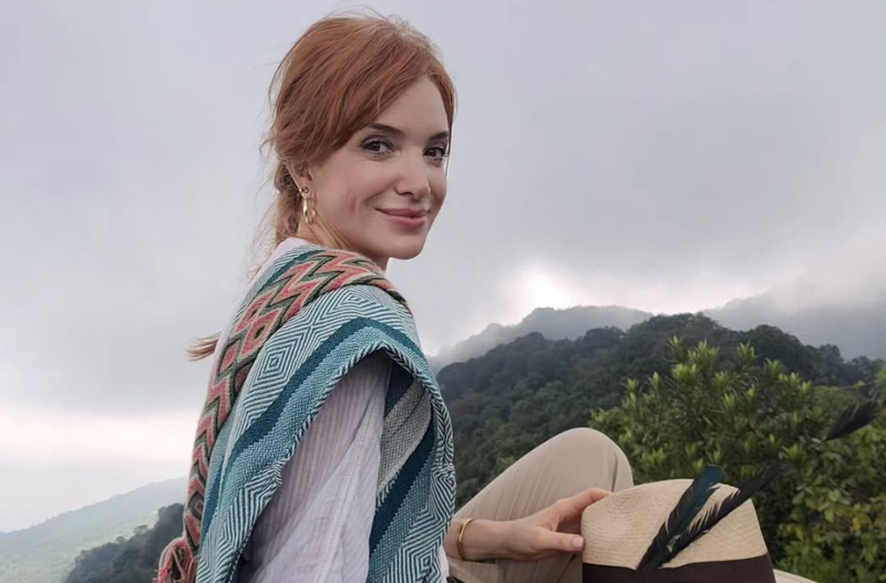 Slika članka