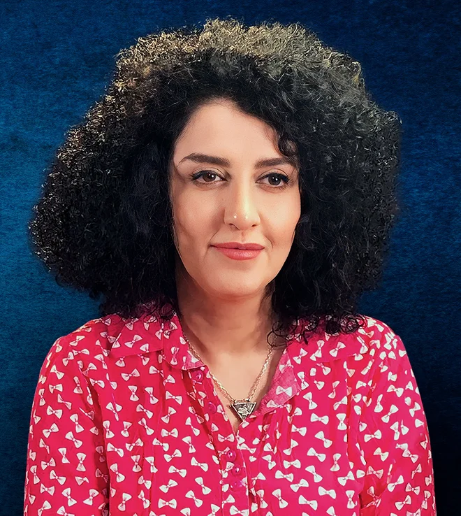 Slika članka