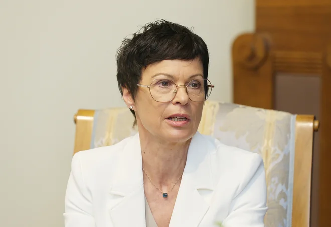 Slika članka