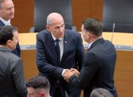 Slika članka