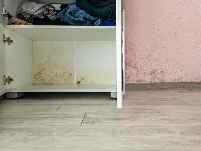 Slika članka