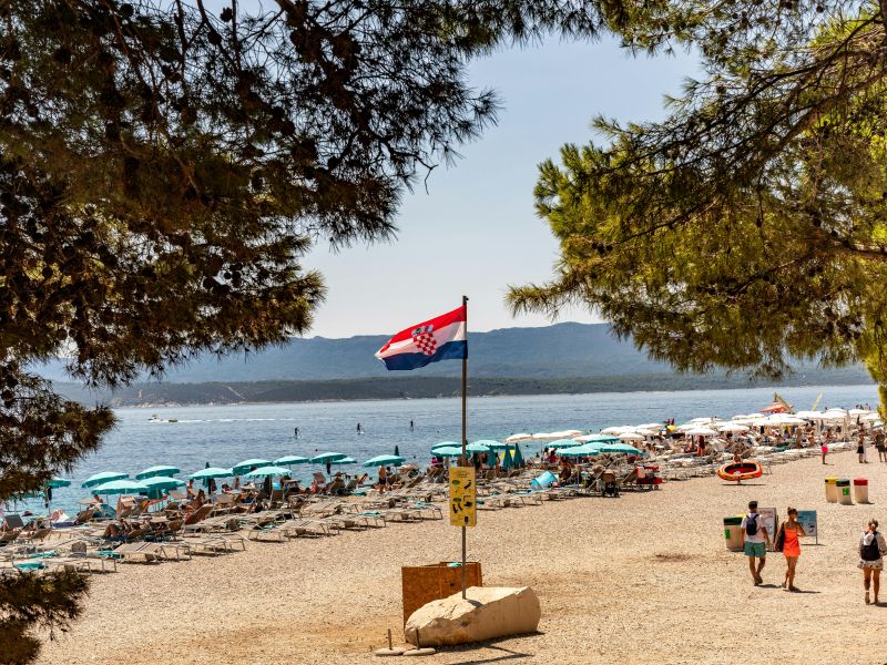 Slika članka