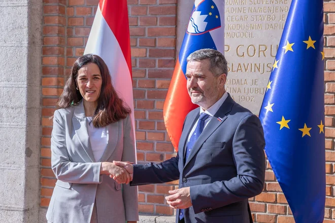 Slika članka