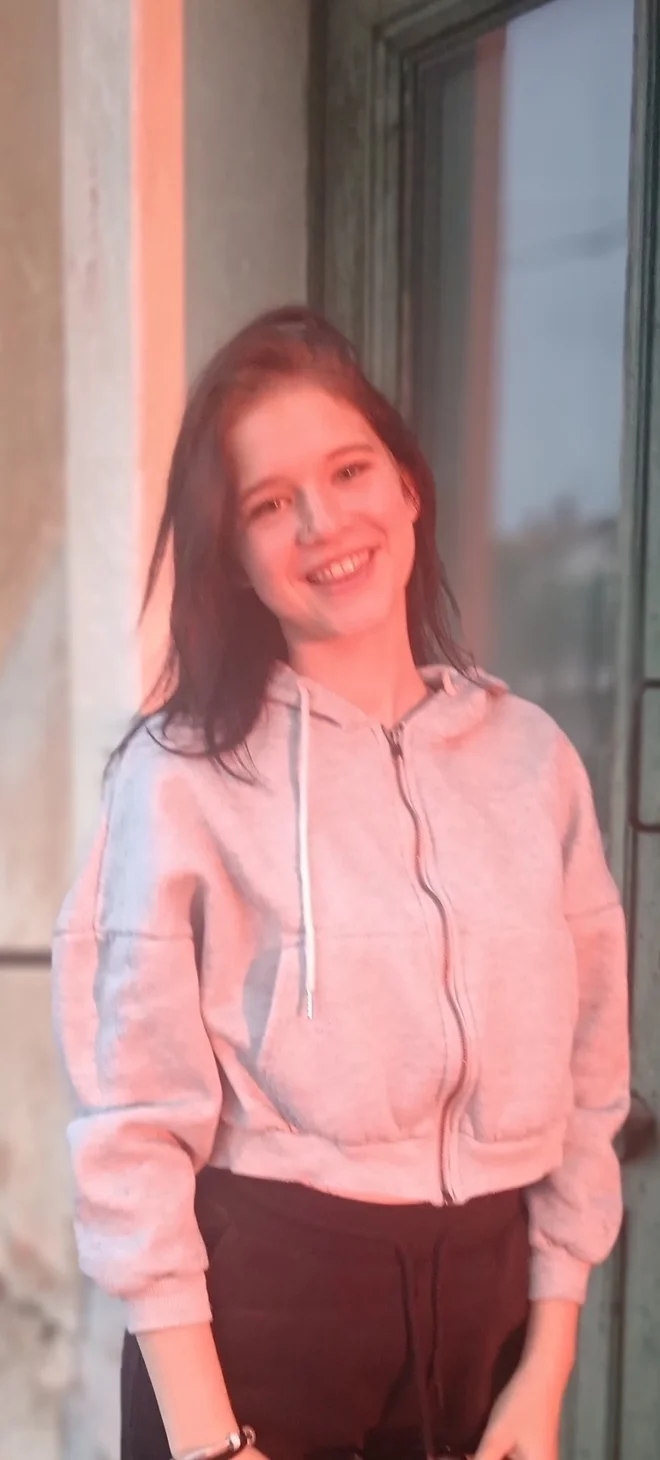 Slika članka