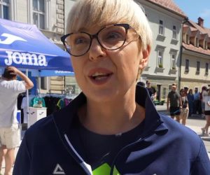 Slika članka