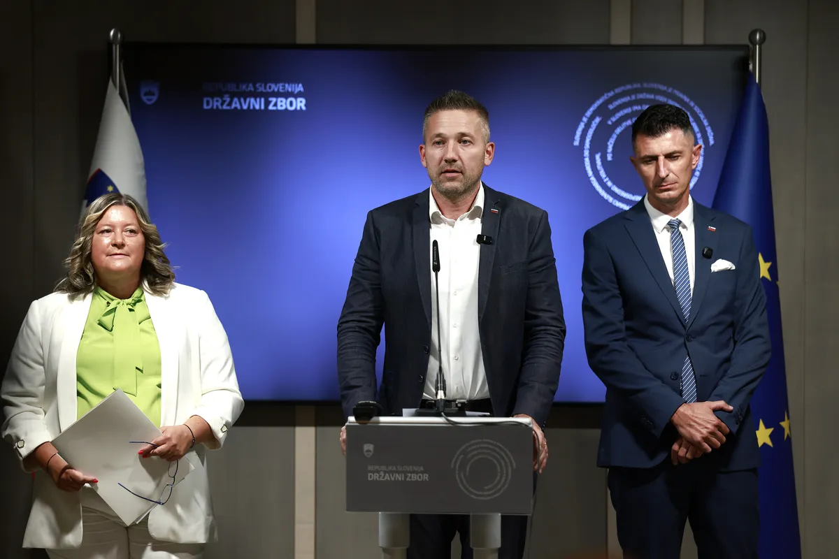 Slika članka