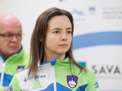 Slika članka