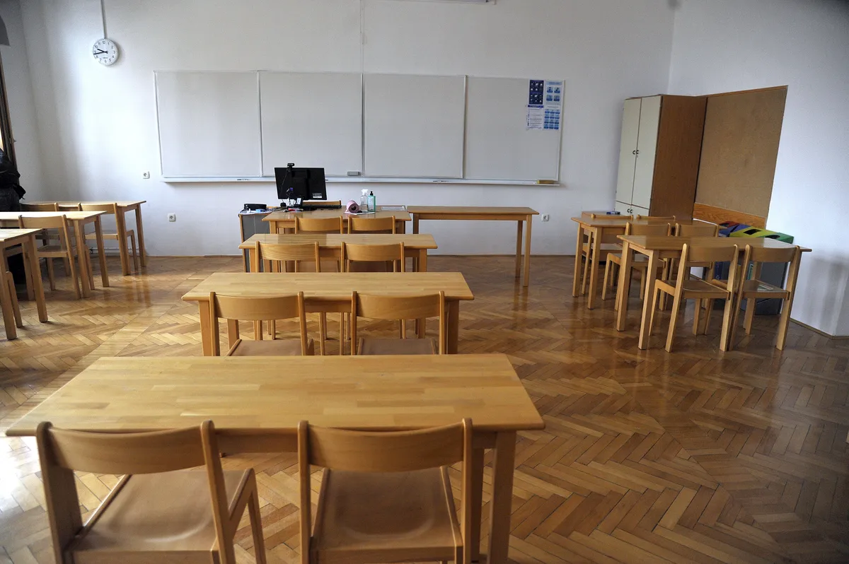 Slika članka
