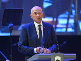 Slika članka