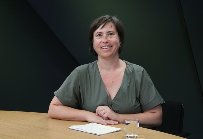Slika članka