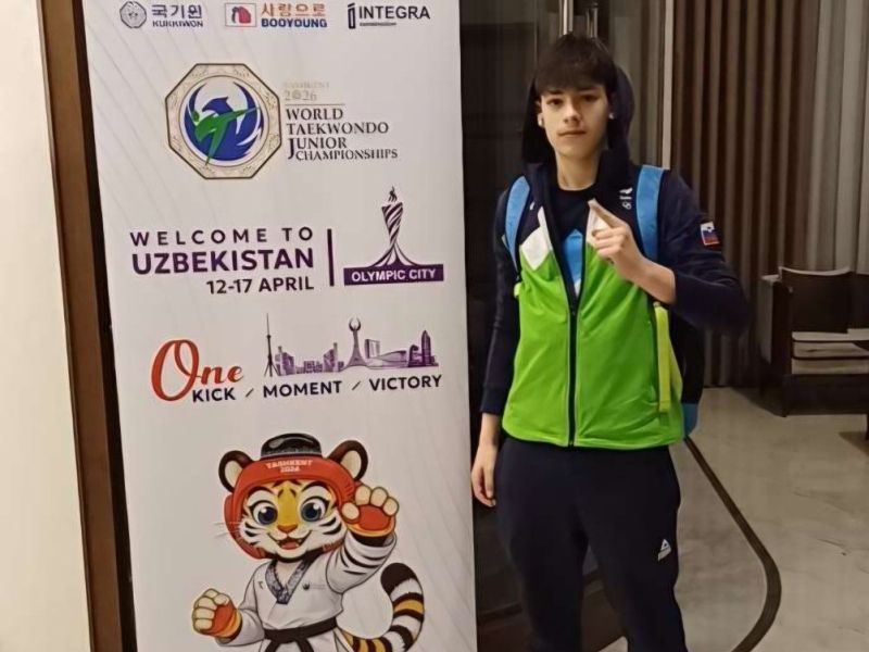 Slika članka