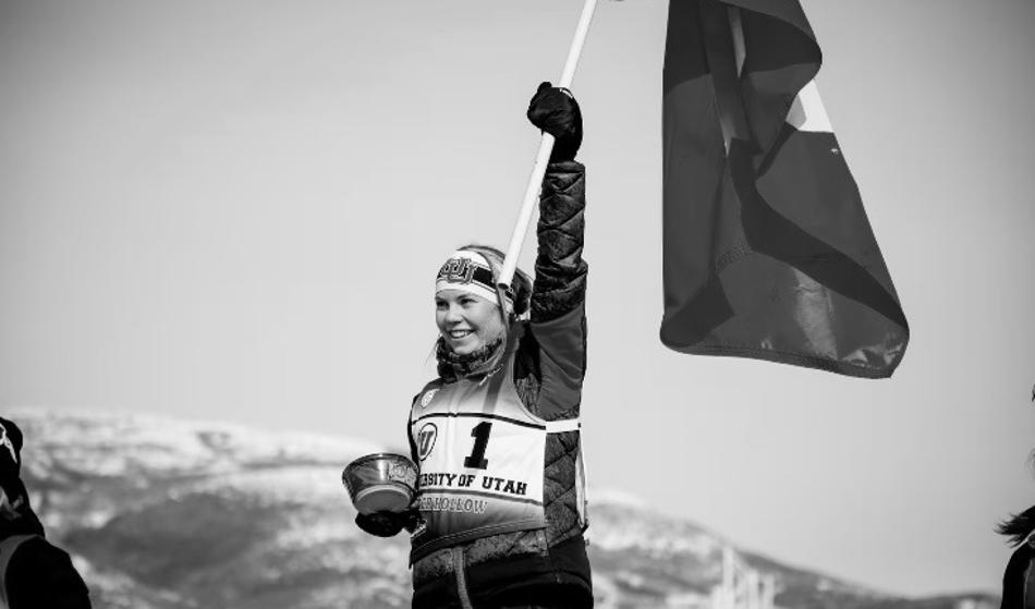 Slika članka