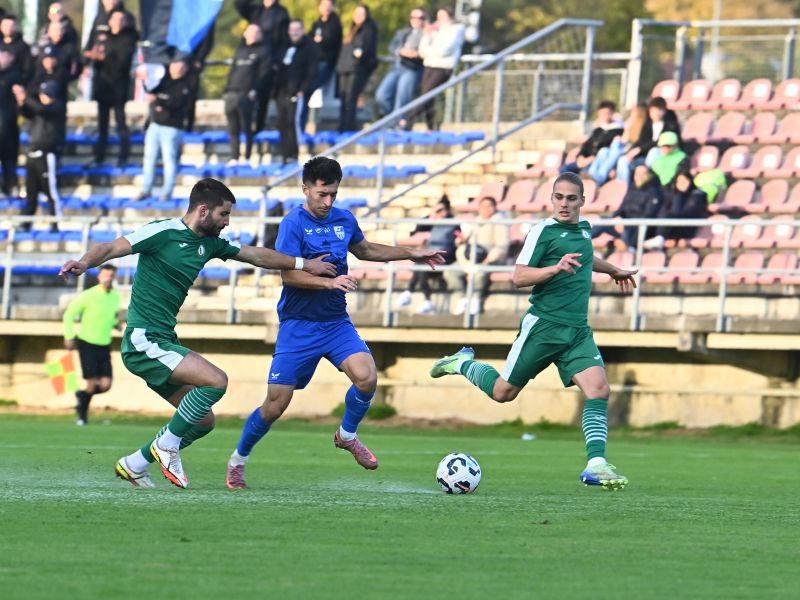 Slika članka