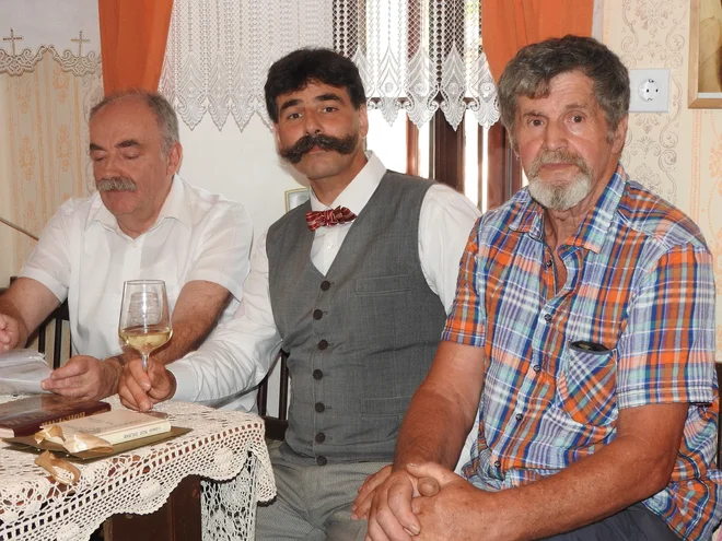 Slika članka
