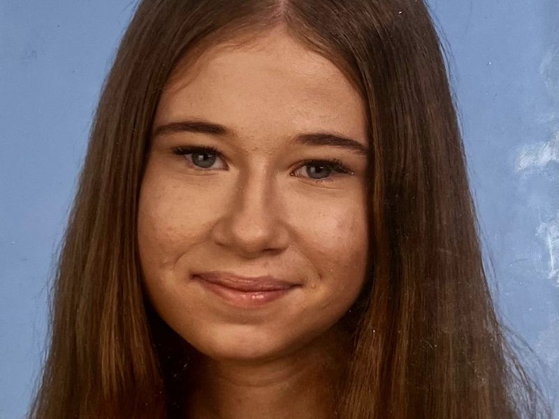 Slika članka