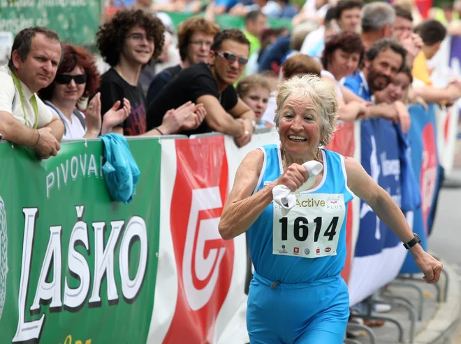 Slika članka
