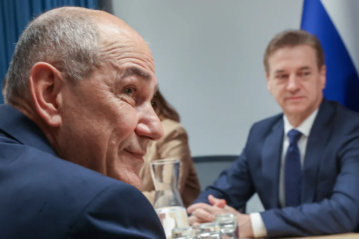 Slika članka