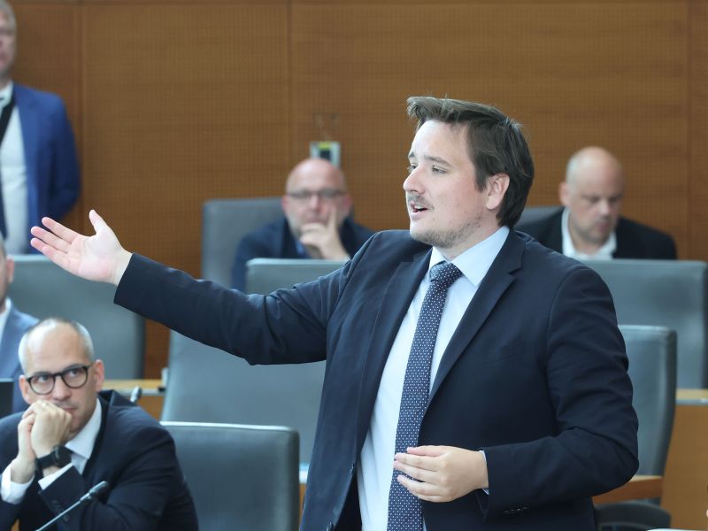 Slika članka