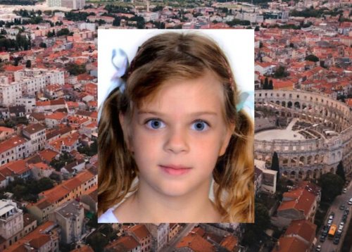 Slika članka