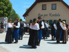 Slika članka