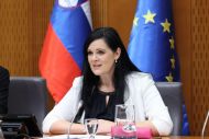 Slika članka