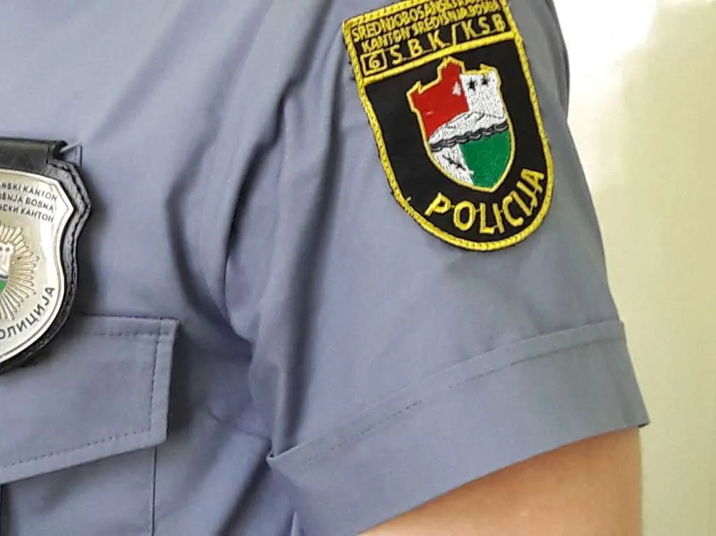 Slika članka