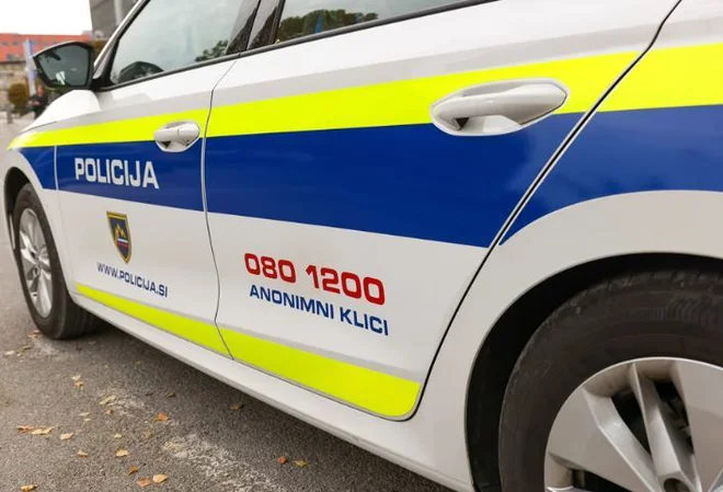 Slika članka