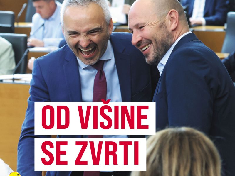 Slika članka