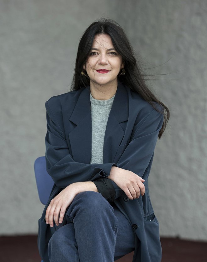 Slika članka