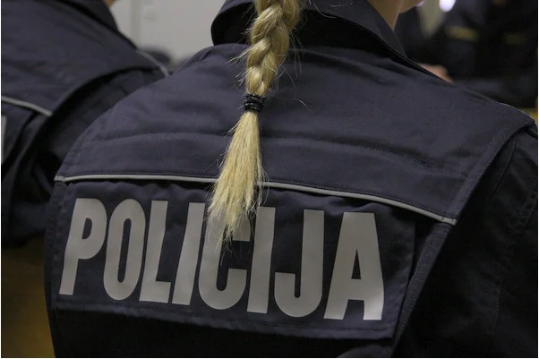 Slika članka