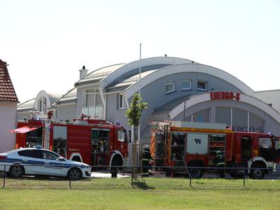 Slika članka