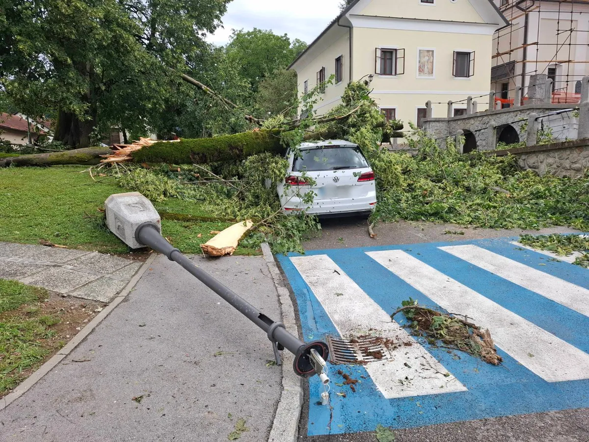 Slika članka