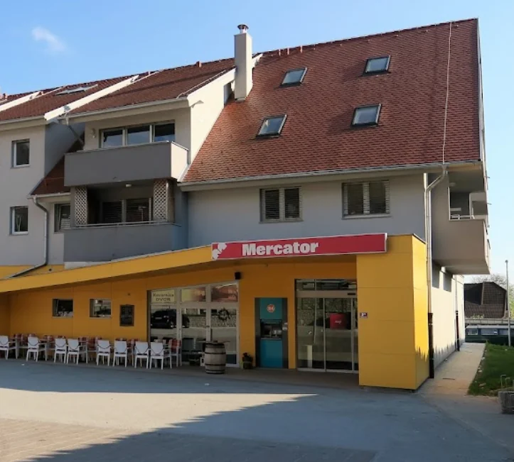 Slika članka