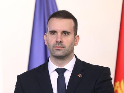 Slika članka