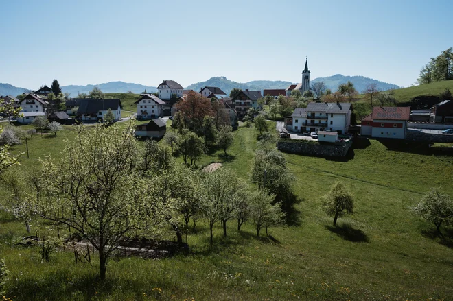 Slika članka