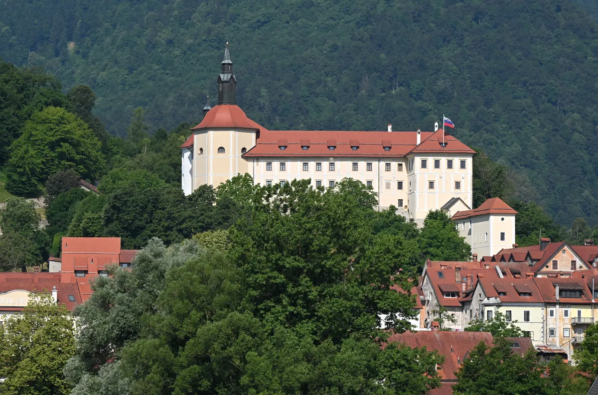 Slika članka