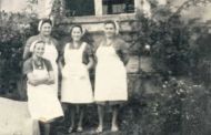 Slika članka